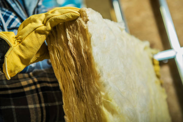 Best Cellulose Insulation in Valley Mills, TX